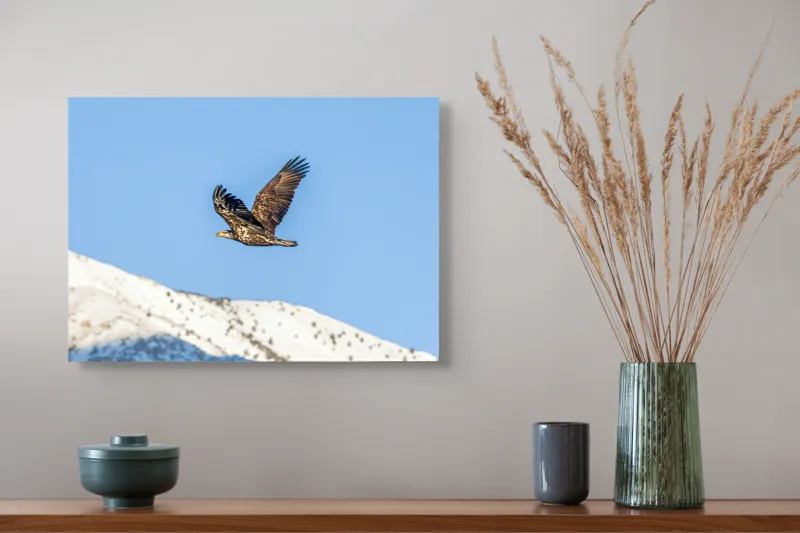 Tablou Canvas, "Vulturul stăpân al cerului albastru", Vultur, Cer, Zbor, Munte, Nevatat, Libertate, Natură, Majestuos, Aripi, Peisaj, 54 x 39 cm – poza 4