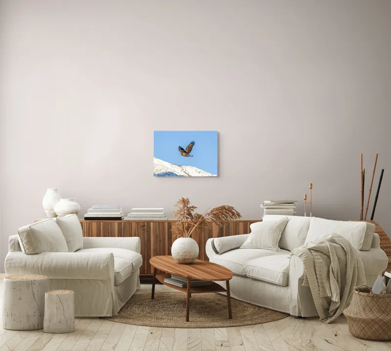 Tablou Canvas, "Vulturul stăpân al cerului albastru", Vultur, Cer, Zbor, Munte, Nevatat, Libertate, Natură, Majestuos, Aripi, Peisaj, 54 x 39 cm – poza 5