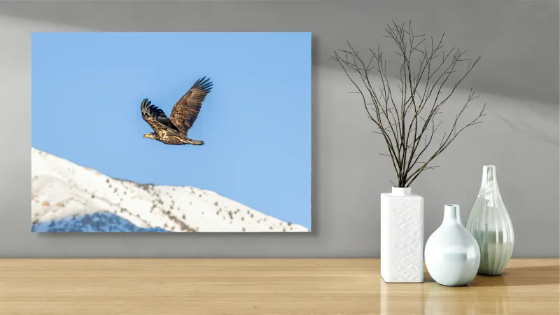 Tablou Canvas, "Vulturul stăpân al cerului albastru", Vultur, Cer, Zbor, Munte, Nevatat, Libertate, Natură, Majestuos, Aripi, Peisaj, 70 x 50 cm – poza 3
