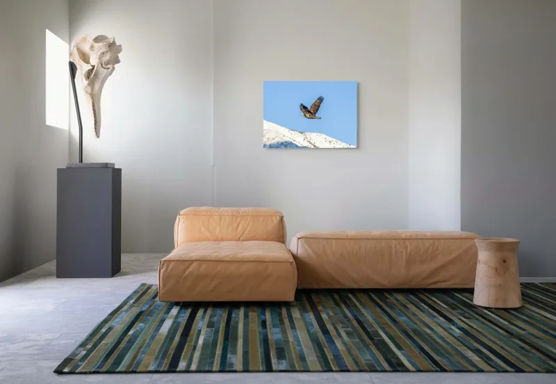 Tablou Canvas, "Vulturul stăpân al cerului albastru", Vultur, Cer, Zbor, Munte, Nevatat, Libertate, Natură, Majestuos, Aripi, Peisaj, 70 x 50 cm – poza 8