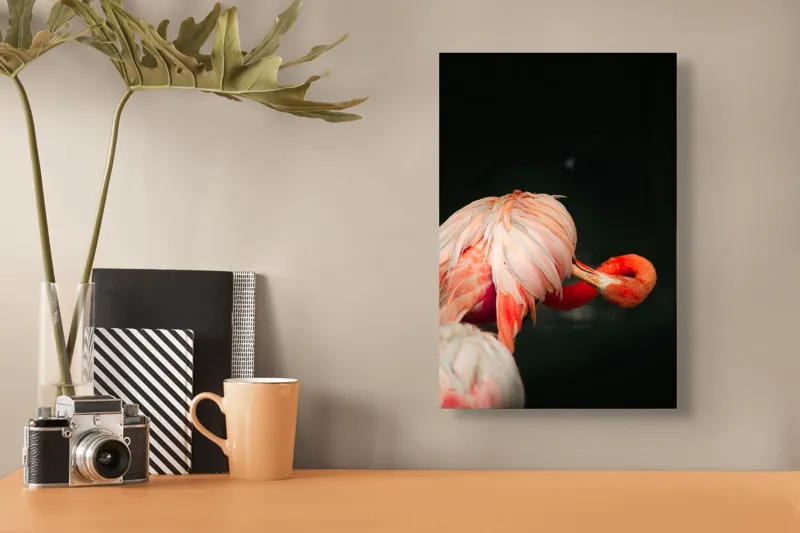 Tablou Canvas, "Flamingo în moment de reflecție rozalie", Penaj, Flamingo, Eleganță, Roz, Acceptabilă, 26 x 39 cm – poza 3