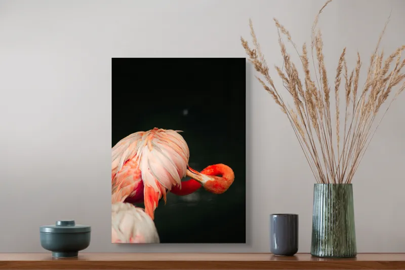 Tablou Canvas, "Flamingo în moment de reflecție rozalie", Penaj, Flamingo, Eleganță, Roz, Acceptabilă, 39 x 54 cm – poza 3