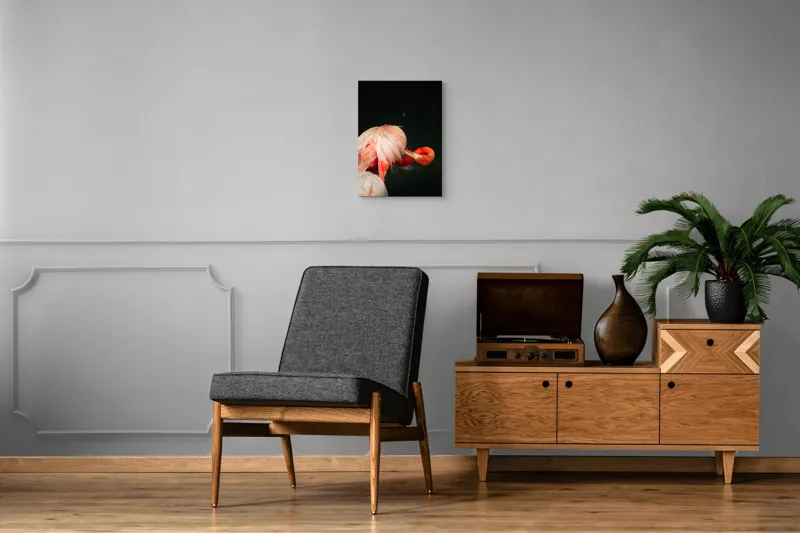 Tablou Canvas, "Flamingo în moment de reflecție rozalie", Penaj, Flamingo, Eleganță, Roz, Acceptabilă, 39 x 54 cm – poza 8