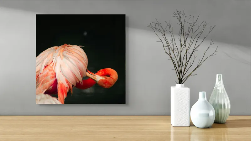 Tablou Canvas, "Flamingo în moment de reflecție rozalie", Penaj, Flamingo, Eleganță, Roz, Acceptabilă, 50 x 50 cm – poza 3