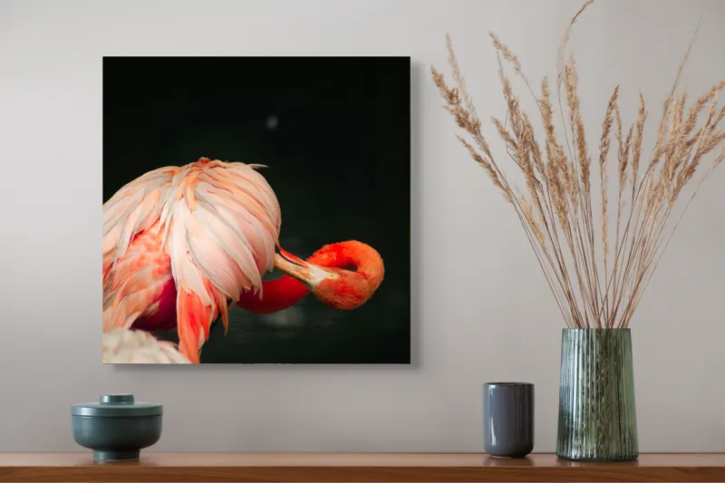 Tablou Canvas, "Flamingo în moment de reflecție rozalie", Penaj, Flamingo, Eleganță, Roz, Acceptabilă, 50 x 50 cm – poza 4