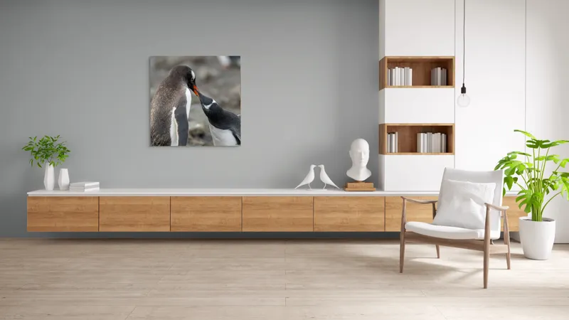 Tablou Canvas, "Întâlnire tandră între doi pinguini", Pinguini, Interacțiune, Natură, Blană, Aripi, Sol, Curiozitate, Contact, 100 x 100 cm – poza 8