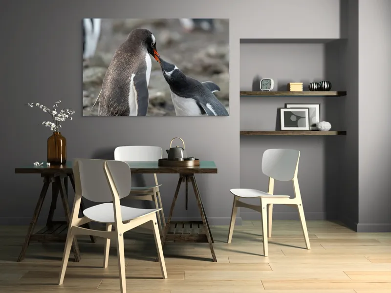 Tablou Canvas, "Întâlnire tandră între doi pinguini", Pinguini, Interacțiune, Natură, Blană, Aripi, Sol, Curiozitate, Contact, 150 x 100 cm – poza 5