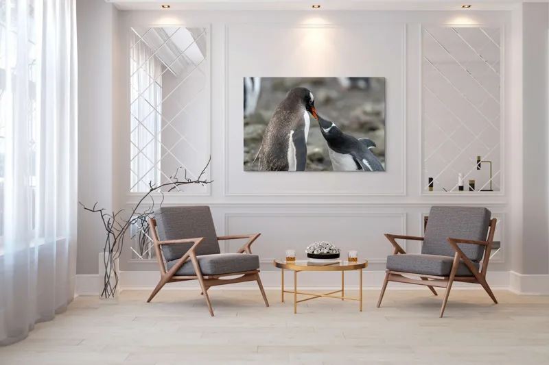 Tablou Canvas, "Întâlnire tandră între doi pinguini", Pinguini, Interacțiune, Natură, Blană, Aripi, Sol, Curiozitate, Contact, 150 x 100 cm – poza 7