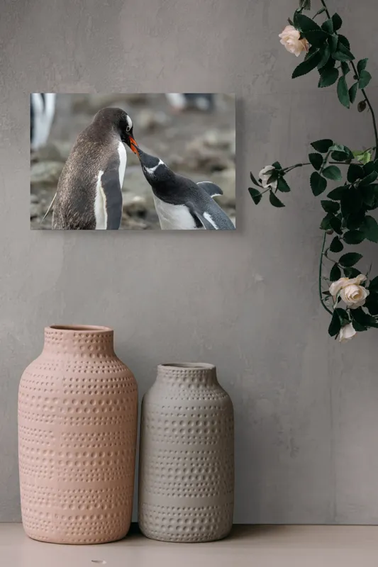 Tablou Canvas, "Întâlnire tandră între doi pinguini", Pinguini, Interacțiune, Natură, Blană, Aripi, Sol, Curiozitate, Contact, 39 x 26 cm – poza 4