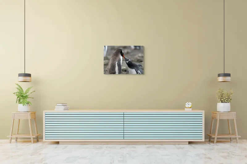 Tablou Canvas, "Întâlnire tandră între doi pinguini", Pinguini, Interacțiune, Natură, Blană, Aripi, Sol, Curiozitate, Contact, 70 x 50 cm – poza 7