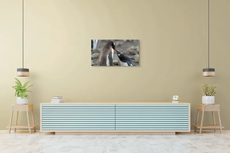 Tablou Canvas, "Întâlnire tandră între doi pinguini", Pinguini, Interacțiune, Natură, Blană, Aripi, Sol, Curiozitate, Contact, 90 x 50 cm – poza 5