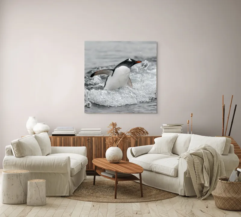 Tablou Canvas, "Pinguin înotând printre valuri reci", Penguin, Water, Splashing, Motion, Ocean, Nature, Wildlife, 100 x 100 cm – poza 3