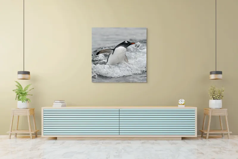 Tablou Canvas, "Pinguin înotând printre valuri reci", Penguin, Water, Splashing, Motion, Ocean, Nature, Wildlife, 100 x 100 cm – poza 5