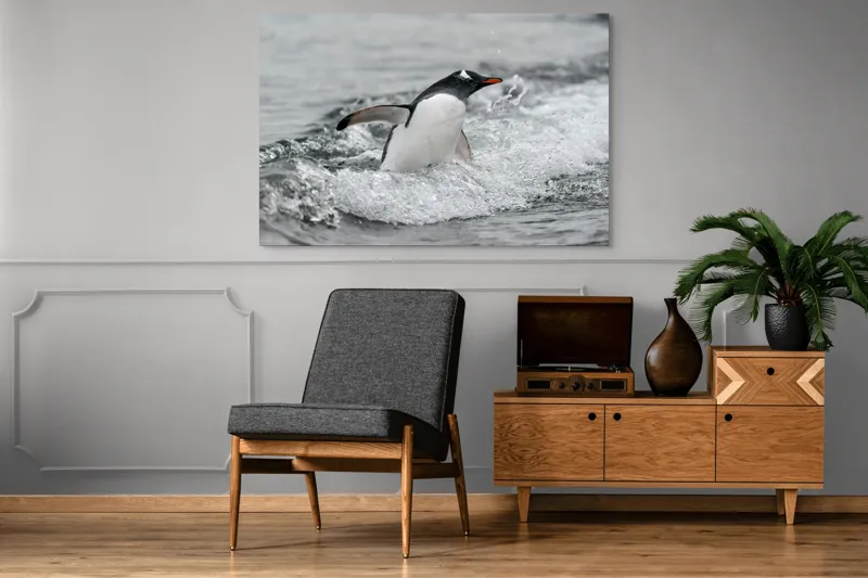 Tablou Canvas, "Pinguin înotând printre valuri reci", Penguin, Water, Splashing, Motion, Ocean, Nature, Wildlife, 150 x 100 cm – poza 8