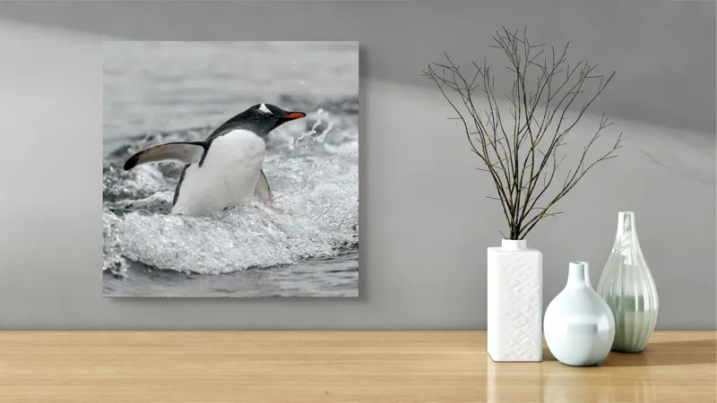 Tablou Canvas, "Pinguin înotând printre valuri reci", Penguin, Water, Splashing, Motion, Ocean, Nature, Wildlife, 50 x 50 cm – poza 3