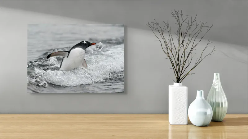 Tablou Canvas, "Pinguin înotând printre valuri reci", Penguin, Water, Splashing, Motion, Ocean, Nature, Wildlife, 54 x 39 cm – poza 3