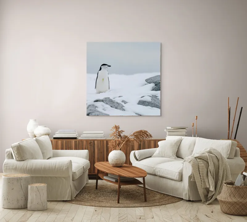 Tablou Canvas, "Pinguin solitar pe zăpadă arctică", Pinguin, Zăpadă, Pietre, Cer Înnorat, Frig, Antarctica, Solitar, Calm, Natură, Gheață, 100 x 100 cm – poza 3