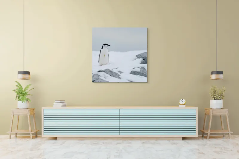 Tablou Canvas, "Pinguin solitar pe zăpadă arctică", Pinguin, Zăpadă, Pietre, Cer Înnorat, Frig, Antarctica, Solitar, Calm, Natură, Gheață, 100 x 100 cm – poza 5
