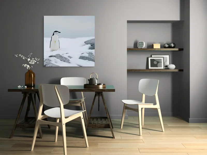 Tablou Canvas, "Pinguin solitar pe zăpadă arctică", Pinguin, Zăpadă, Pietre, Cer Înnorat, Frig, Antarctica, Solitar, Calm, Natură, Gheață, 100 x 100 cm – poza 6