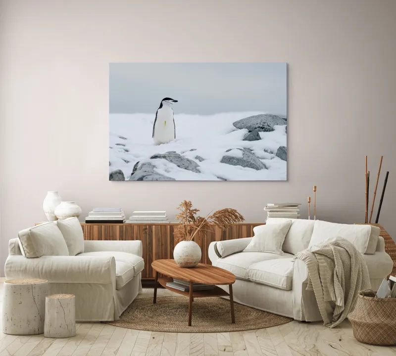 Tablou Canvas, "Pinguin solitar pe zăpadă arctică", Pinguin, Zăpadă, Pietre, Cer Înnorat, Frig, Antarctica, Solitar, Calm, Natură, Gheață, 150 x 100 cm – poza 3