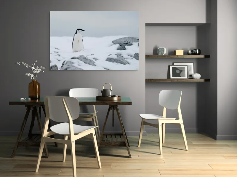 Tablou Canvas, "Pinguin solitar pe zăpadă arctică", Pinguin, Zăpadă, Pietre, Cer Înnorat, Frig, Antarctica, Solitar, Calm, Natură, Gheață, 150 x 100 cm – poza 5