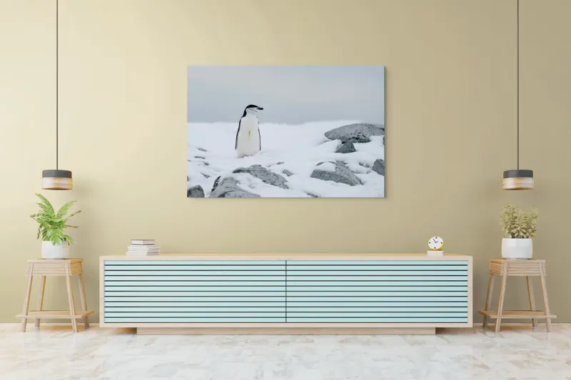Tablou Canvas, "Pinguin solitar pe zăpadă arctică", Pinguin, Zăpadă, Pietre, Cer Înnorat, Frig, Antarctica, Solitar, Calm, Natură, Gheață, 150 x 100 cm – poza 6