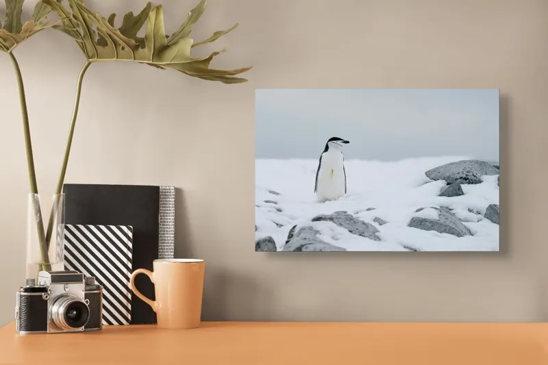 Tablou Canvas, "Pinguin solitar pe zăpadă arctică", Pinguin, Zăpadă, Pietre, Cer Înnorat, Frig, Antarctica, Solitar, Calm, Natură, Gheață, 39 x 26 cm – poza 3