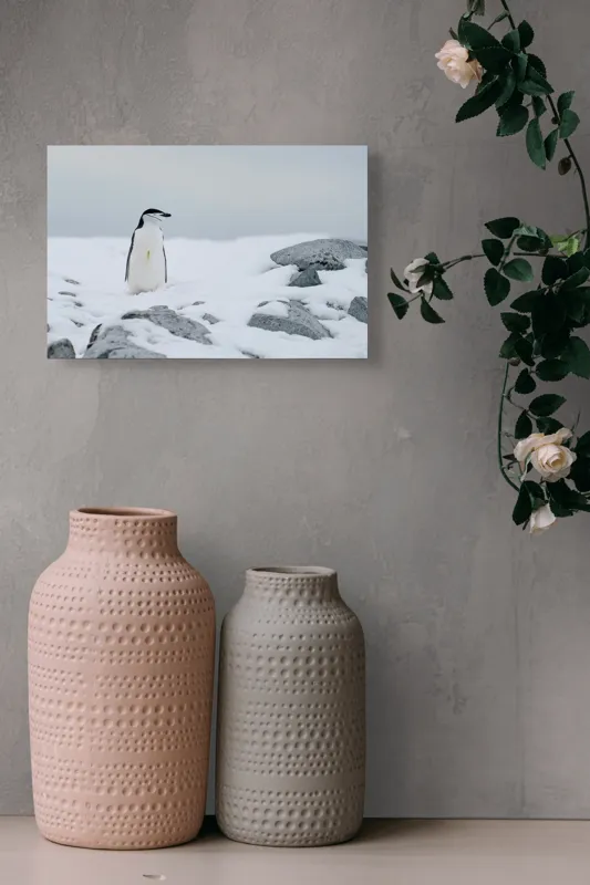 Tablou Canvas, "Pinguin solitar pe zăpadă arctică", Pinguin, Zăpadă, Pietre, Cer Înnorat, Frig, Antarctica, Solitar, Calm, Natură, Gheață, 39 x 26 cm – poza 4