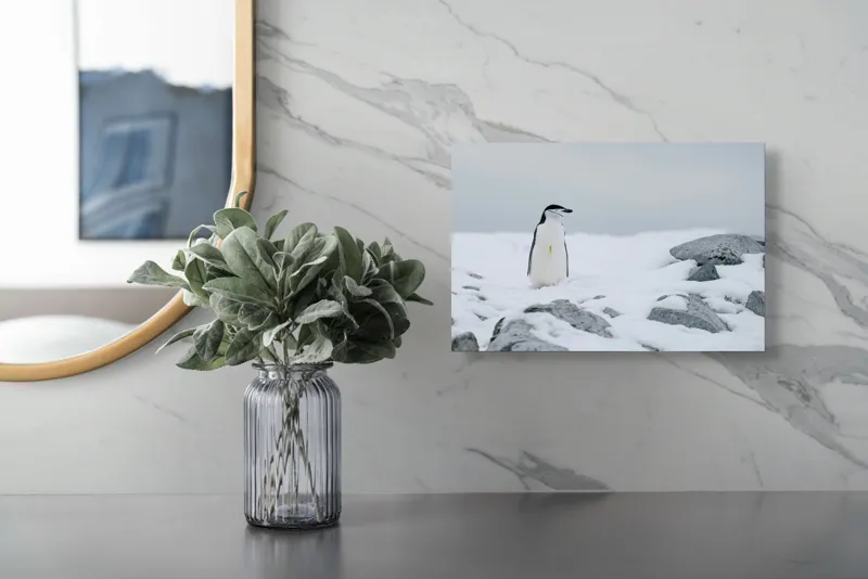 Tablou Canvas, "Pinguin solitar pe zăpadă arctică", Pinguin, Zăpadă, Pietre, Cer Înnorat, Frig, Antarctica, Solitar, Calm, Natură, Gheață, 39 x 26 cm – poza 5