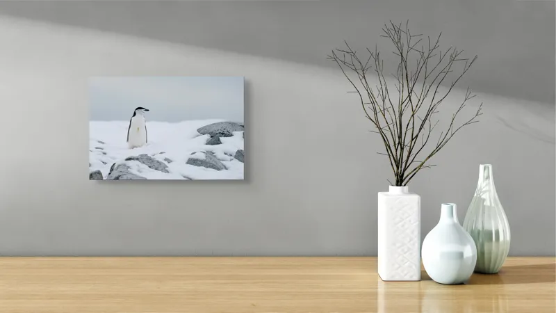 Tablou Canvas, "Pinguin solitar pe zăpadă arctică", Pinguin, Zăpadă, Pietre, Cer Înnorat, Frig, Antarctica, Solitar, Calm, Natură, Gheață, 39 x 26 cm – poza 8