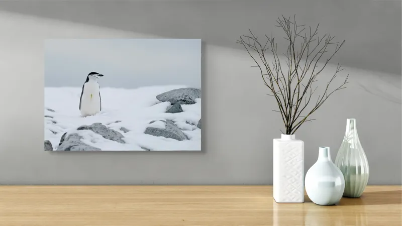 Tablou Canvas, "Pinguin solitar pe zăpadă arctică", Pinguin, Zăpadă, Pietre, Cer Înnorat, Frig, Antarctica, Solitar, Calm, Natură, Gheață, 54 x 39 cm – poza 3
