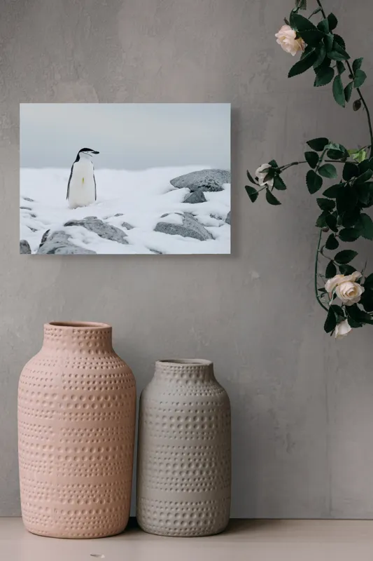 Tablou Canvas, "Pinguin solitar pe zăpadă arctică", Pinguin, Zăpadă, Pietre, Cer Înnorat, Frig, Antarctica, Solitar, Calm, Natură, Gheață, 54 x 39 cm – poza 8