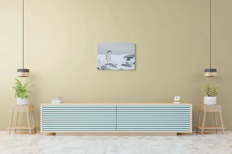 Tablou Canvas, "Pinguin solitar pe zăpadă arctică", Pinguin, Zăpadă, Pietre, Cer Înnorat, Frig, Antarctica, Solitar, Calm, Natură, Gheață, 70 x 50 cm – poza 7