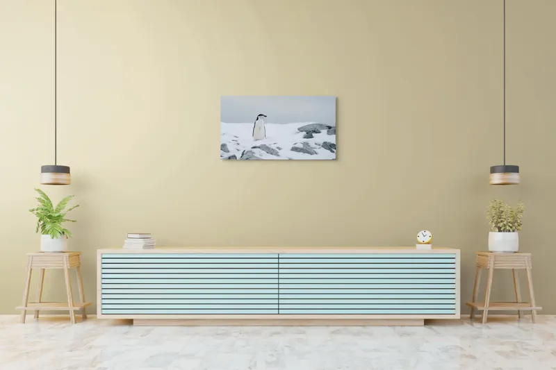 Tablou Canvas, "Pinguin solitar pe zăpadă arctică", Pinguin, Zăpadă, Pietre, Cer Înnorat, Frig, Antarctica, Solitar, Calm, Natură, Gheață, 90 x 50 cm – poza 5