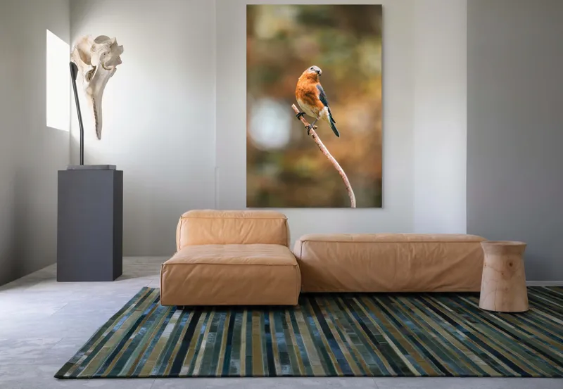 Tablou Canvas, "Pasărea contemplativă pe creangă elegantă", Pasăre, Ramură, Natură, Penaj, Contemplare, Serenitate, Frumusețe, Echilibru, 100 x 150 cm – poza 7