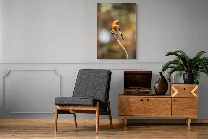 Tablou Canvas, "Pasărea contemplativă pe creangă elegantă", Pasăre, Ramură, Natură, Penaj, Contemplare, Serenitate, Frumusețe, Echilibru, 70 x 100 cm – poza 6