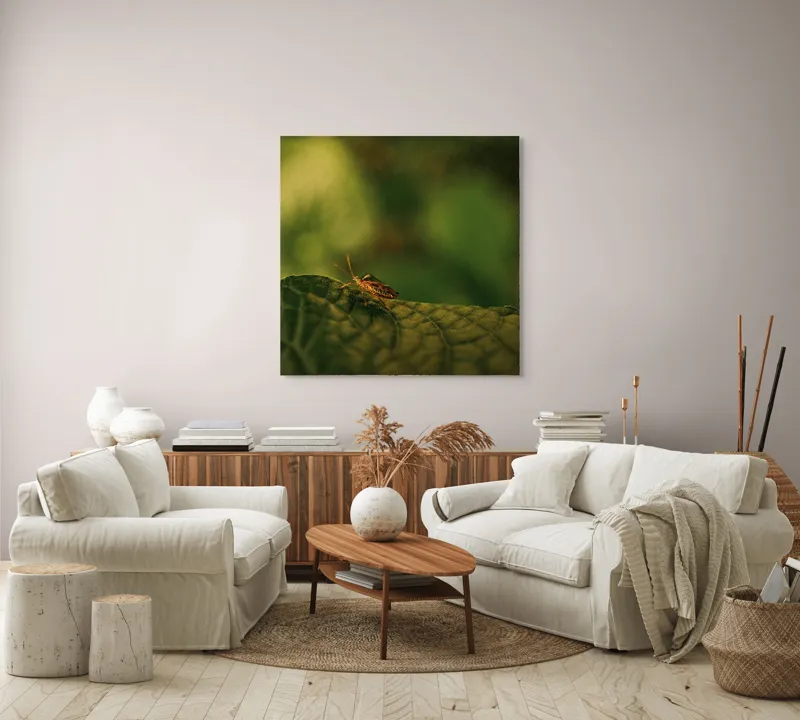 Tablou Canvas, "Insectă pe frunză verde și rugoasă", Insectă, Frunză, Verde, Textură, Natură, Lumină, Detaliu, Culoare, Contrast, Tranquilitate, 100 x 100 cm – poza 3