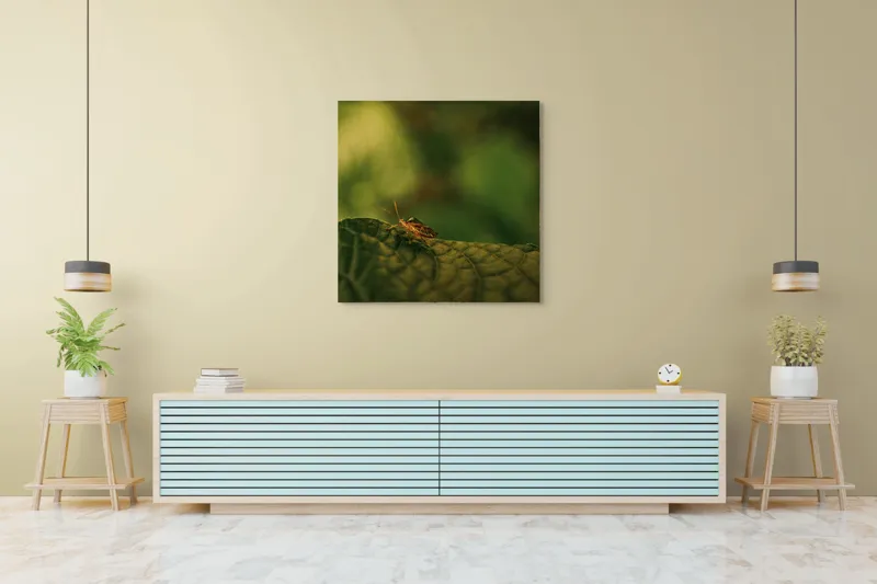 Tablou Canvas, "Insectă pe frunză verde și rugoasă", Insectă, Frunză, Verde, Textură, Natură, Lumină, Detaliu, Culoare, Contrast, Tranquilitate, 100 x 100 cm – poza 5