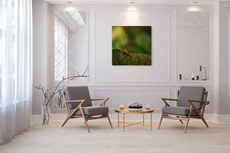 Tablou Canvas, "Insectă pe frunză verde și rugoasă", Insectă, Frunză, Verde, Textură, Natură, Lumină, Detaliu, Culoare, Contrast, Tranquilitate, 100 x 100 cm – poza 7