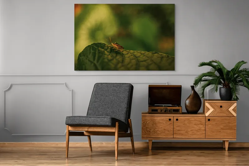 Tablou Canvas, "Insectă pe frunză verde și rugoasă", Insectă, Frunză, Verde, Textură, Natură, Lumină, Detaliu, Culoare, Contrast, Tranquilitate, 150 x 100 cm – poza 8
