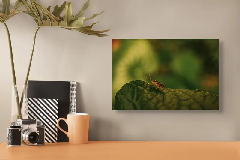 Tablou Canvas, "Insectă pe frunză verde și rugoasă", Insectă, Frunză, Verde, Textură, Natură, Lumină, Detaliu, Culoare, Contrast, Tranquilitate, 39 x 26 cm – poza 3