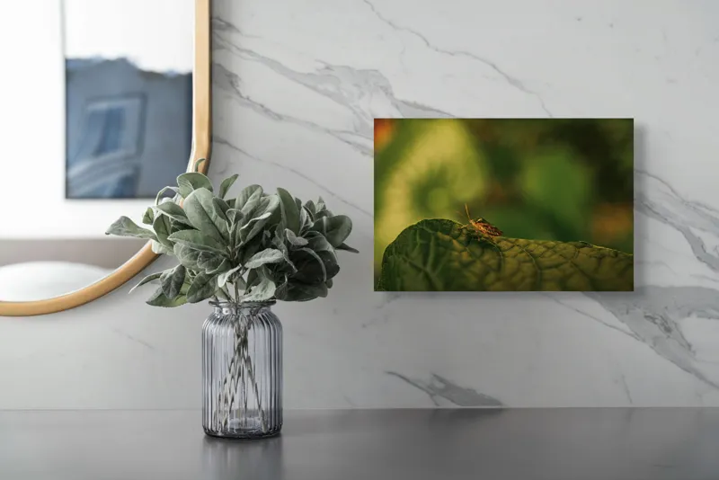 Tablou Canvas, "Insectă pe frunză verde și rugoasă", Insectă, Frunză, Verde, Textură, Natură, Lumină, Detaliu, Culoare, Contrast, Tranquilitate, 39 x 26 cm – poza 5