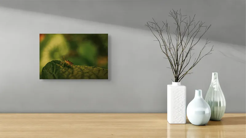 Tablou Canvas, "Insectă pe frunză verde și rugoasă", Insectă, Frunză, Verde, Textură, Natură, Lumină, Detaliu, Culoare, Contrast, Tranquilitate, 39 x 26 cm – poza 8