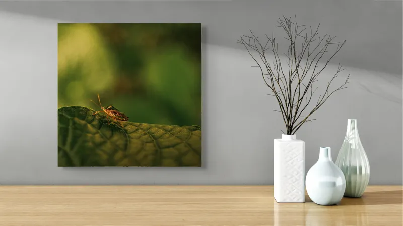 Tablou Canvas, "Insectă pe frunză verde și rugoasă", Insectă, Frunză, Verde, Textură, Natură, Lumină, Detaliu, Culoare, Contrast, Tranquilitate, 50 x 50 cm – poza 3