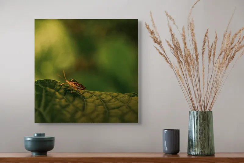 Tablou Canvas, "Insectă pe frunză verde și rugoasă", Insectă, Frunză, Verde, Textură, Natură, Lumină, Detaliu, Culoare, Contrast, Tranquilitate, 50 x 50 cm – poza 4