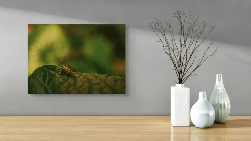 Tablou Canvas, "Insectă pe frunză verde și rugoasă", Insectă, Frunză, Verde, Textură, Natură, Lumină, Detaliu, Culoare, Contrast, Tranquilitate, 54 x 39 cm – poza 3