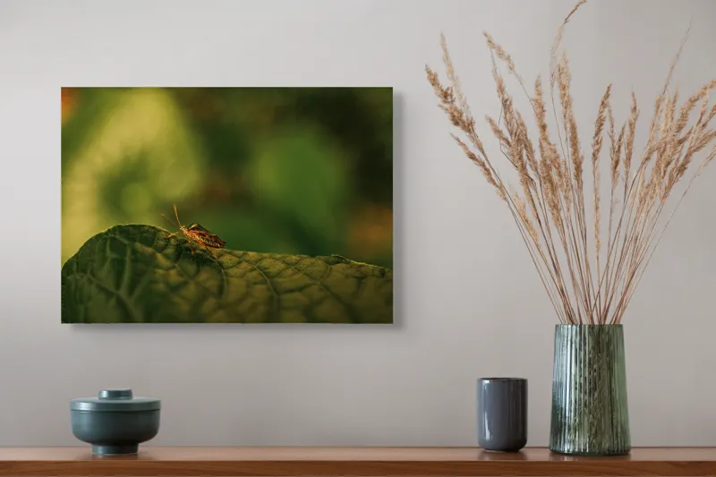 Tablou Canvas, "Insectă pe frunză verde și rugoasă", Insectă, Frunză, Verde, Textură, Natură, Lumină, Detaliu, Culoare, Contrast, Tranquilitate, 54 x 39 cm – poza 4