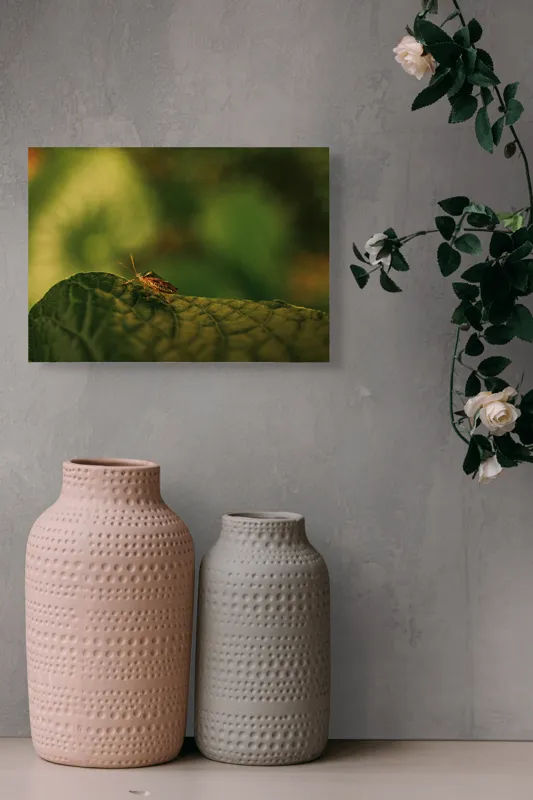 Tablou Canvas, "Insectă pe frunză verde și rugoasă", Insectă, Frunză, Verde, Textură, Natură, Lumină, Detaliu, Culoare, Contrast, Tranquilitate, 54 x 39 cm – poza 8