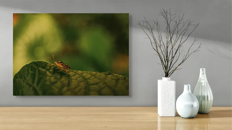 Tablou Canvas, "Insectă pe frunză verde și rugoasă", Insectă, Frunză, Verde, Textură, Natură, Lumină, Detaliu, Culoare, Contrast, Tranquilitate, 70 x 50 cm – poza 3