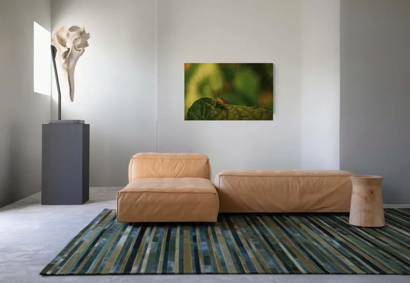 Tablou Canvas, "Insectă pe frunză verde și rugoasă", Insectă, Frunză, Verde, Textură, Natură, Lumină, Detaliu, Culoare, Contrast, Tranquilitate, 90 x 50 cm – poza 8